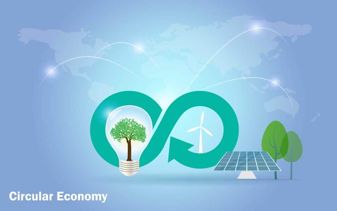 The Energy Transition: Circular Economy